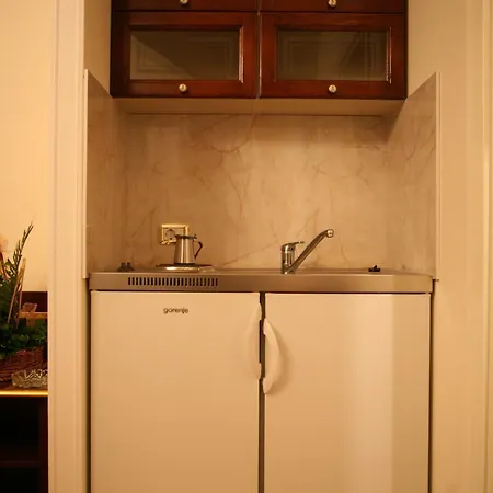 酒店 维多利亚别墅酒店 巴尼西卢卡